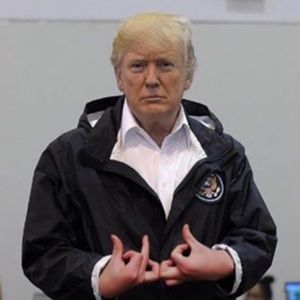 Meet your Posher, Riley